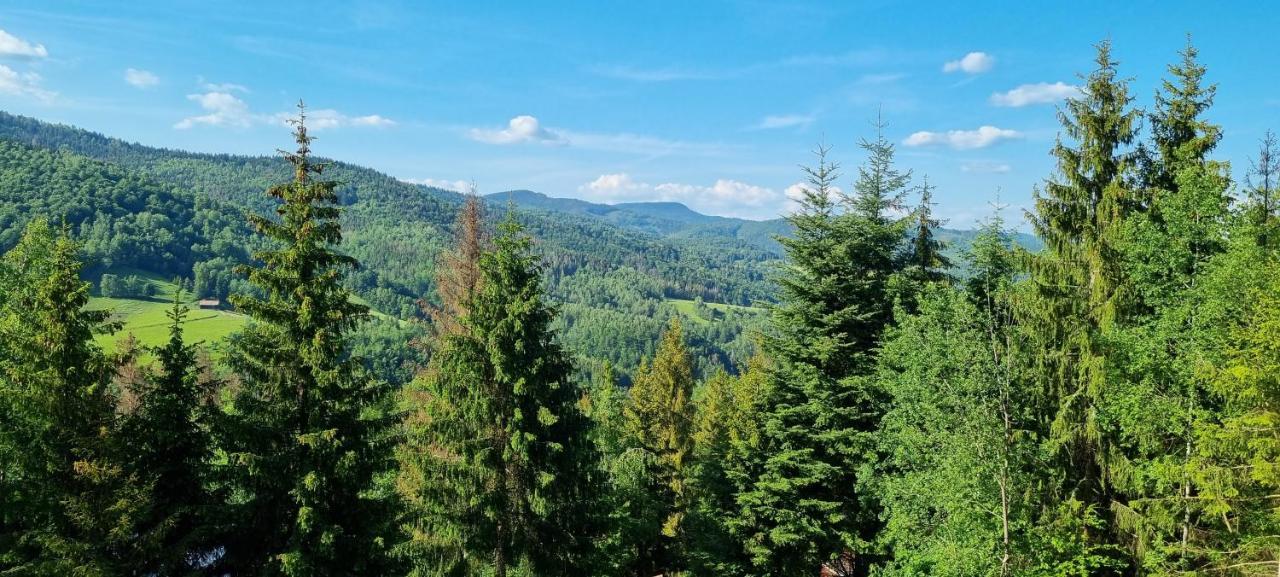 Chata Linia Kokava nad Rimavicou Buitenkant foto