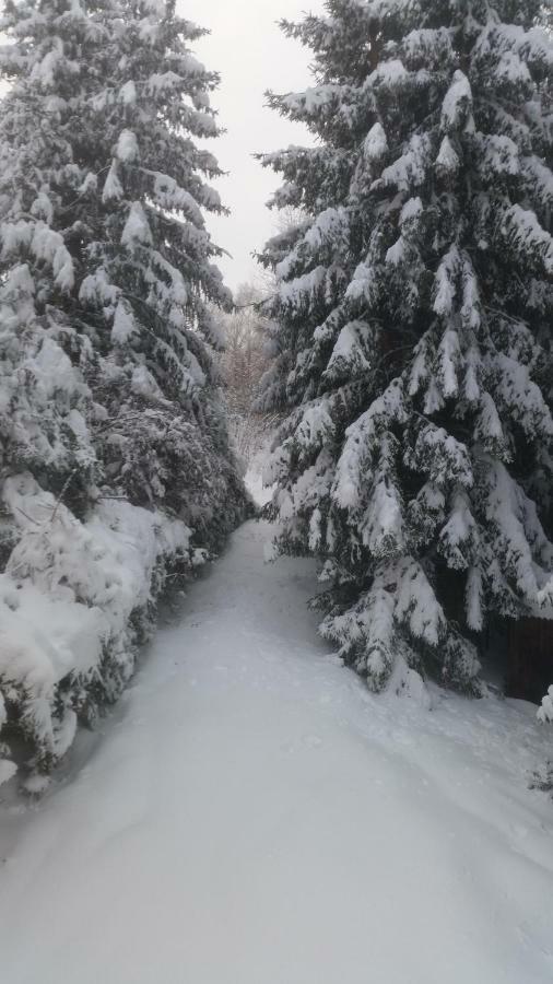 Chata Linia Kokava nad Rimavicou Buitenkant foto